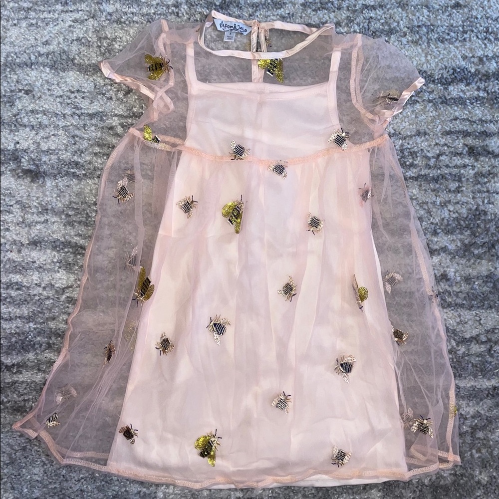 Sheer Bee Dress